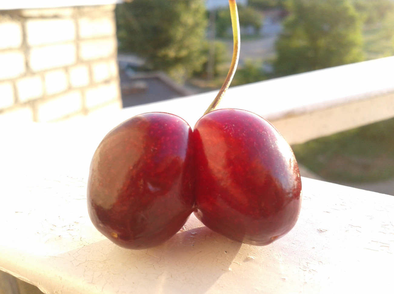 ������ ������� � ����� ���� ����