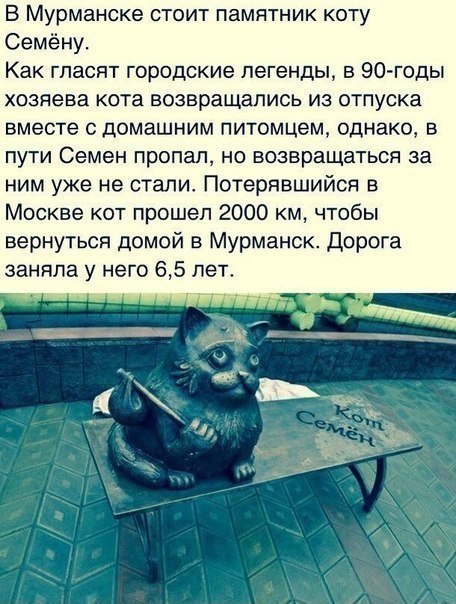 Немного интересных и добрых картинок на вечер