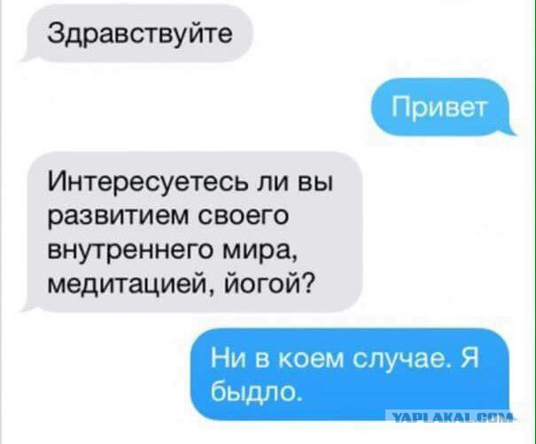 Картинки юморные и тексты