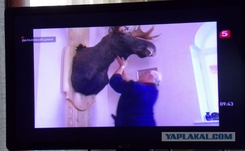 Об омывайке