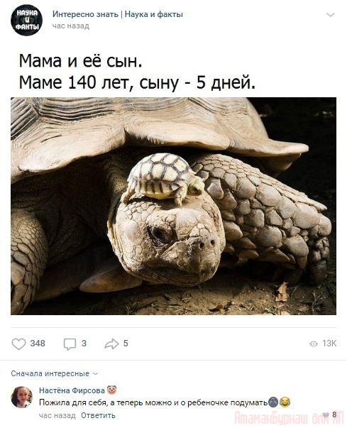 Комментарии к постам в разных группах, которые вызвали улыбку