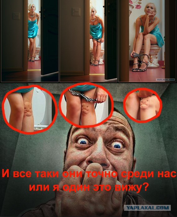 Вся правда о блондинках