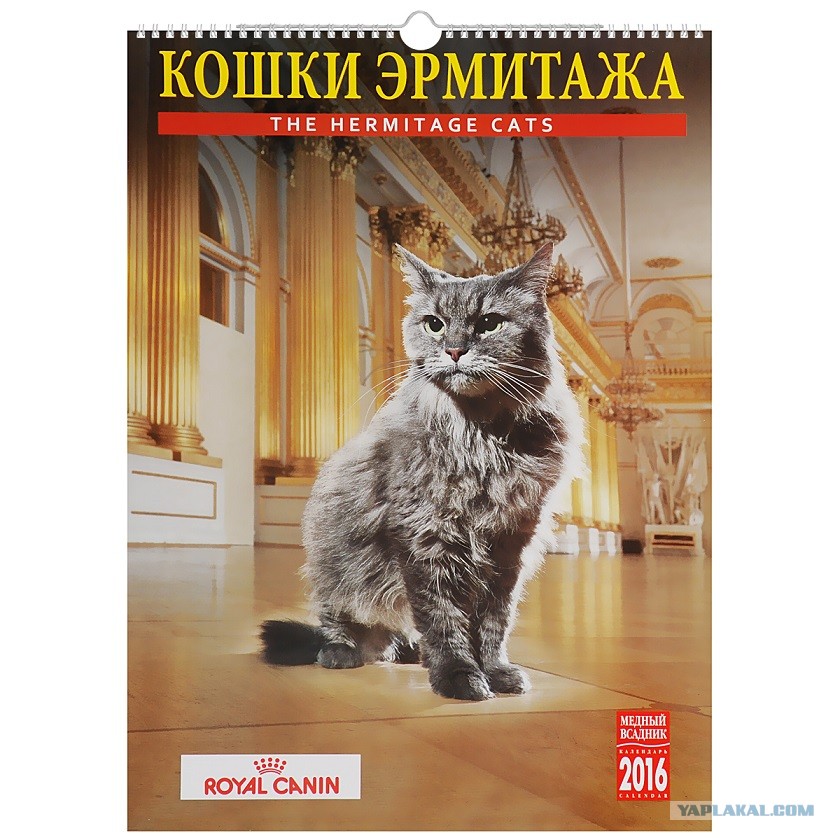 Cats in the hermitage огэ ответы. Ответы огэ география 2023. Огэ типовые экзаменационные варианты английский. Hermitage cats огэ ответы. Cats in the hermitage огэ ответы.