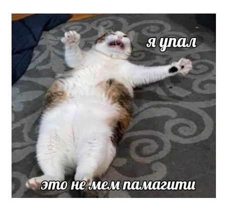 Вечерний выпуск