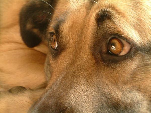 Перемена настроения