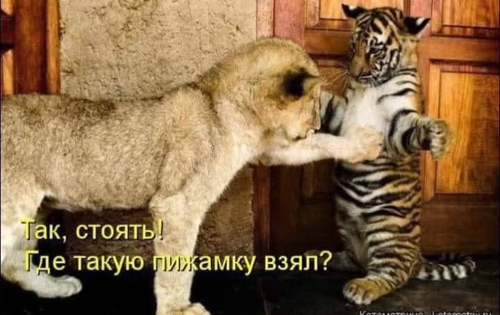15650626.jpg