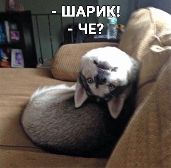 Так себе картинки 24.09.21