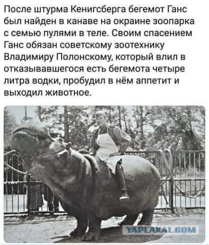 Утепляйтесь!