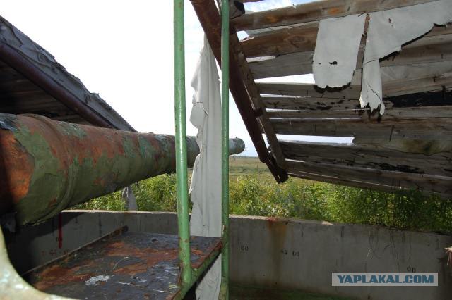 Воробьи пушек не боятся