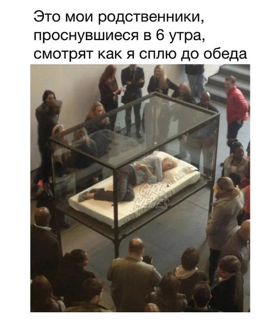 Тупняк на понедельник. 17 шт.