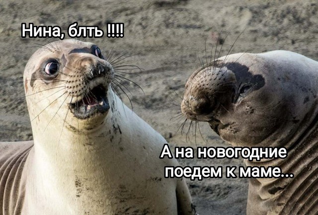 Прикольные и просто красивые картинки 20.12.2022