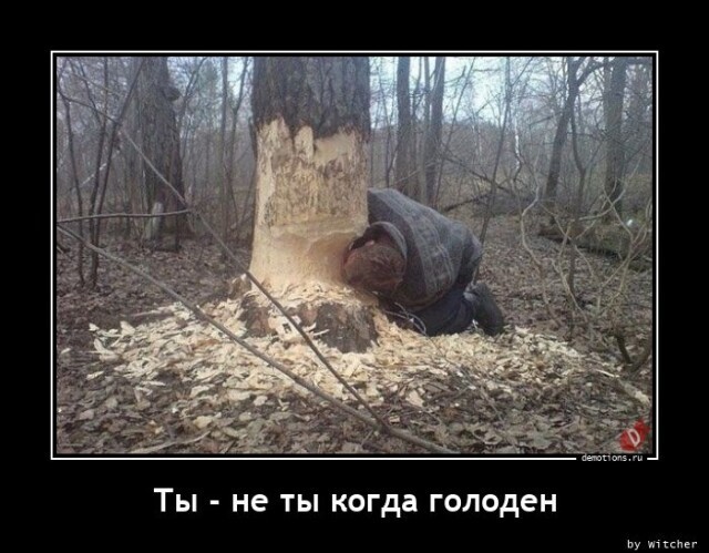 Картинки с надписями 15.01.23