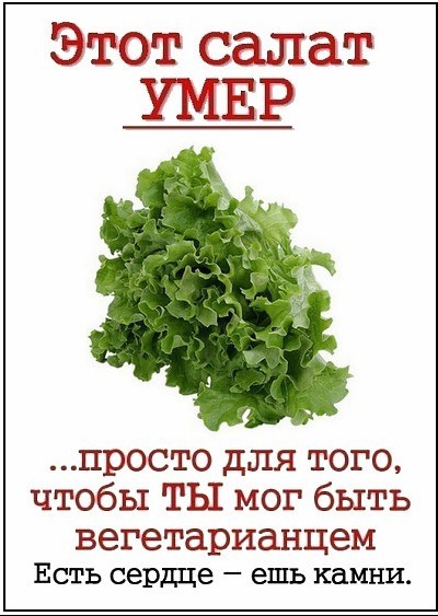 Как по вашему, что сделали неправильно организаторы этой охоты?