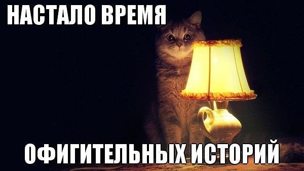 В честь праздника!