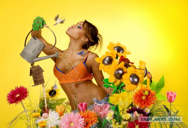 Дикие фото из социальных сетей