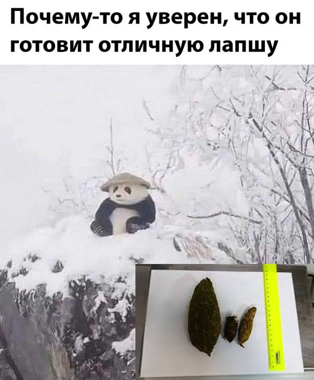 Так себе картинки 12.01.25
