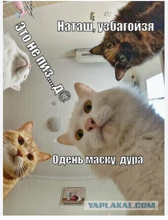 Пассажирка рейса обвинила пилотов в непрофессионализме, потому что в момент ЧС они экстренно снижали самолет, а не успокаивали пассажиров