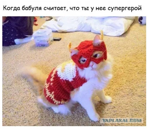Картиночки, баянчики в начале мая