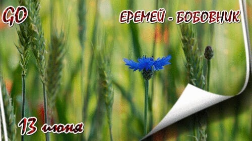 День пивовара!