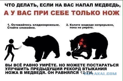 Девушки встретили медведя на тропе к водопаду Учар в Алтае