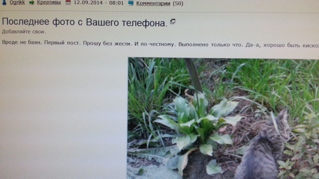Последнее фото с Вашего телефона.