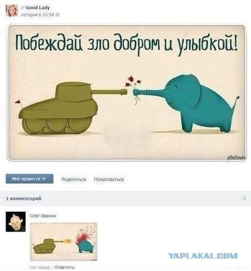 Прикольные картинки из интернета