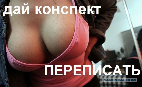 Немного о студентках