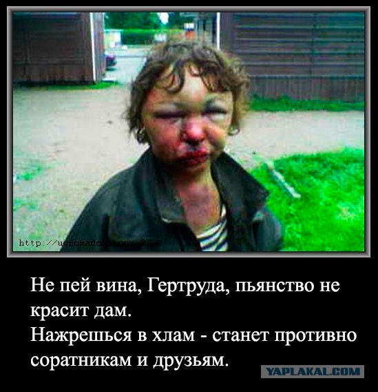 Алкоголь и деградация личности  как это начинается