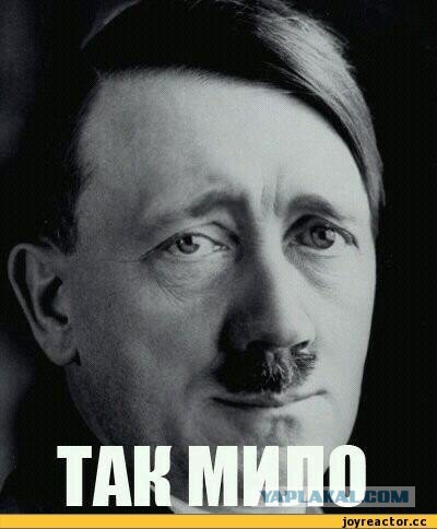 Немецкие политики переходят от слов к делу