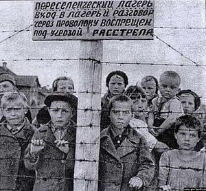 1939 г. Польша и Финляндия. Две девы