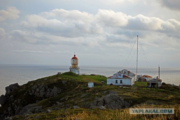 Я узнал, что у меня есть огромная семья