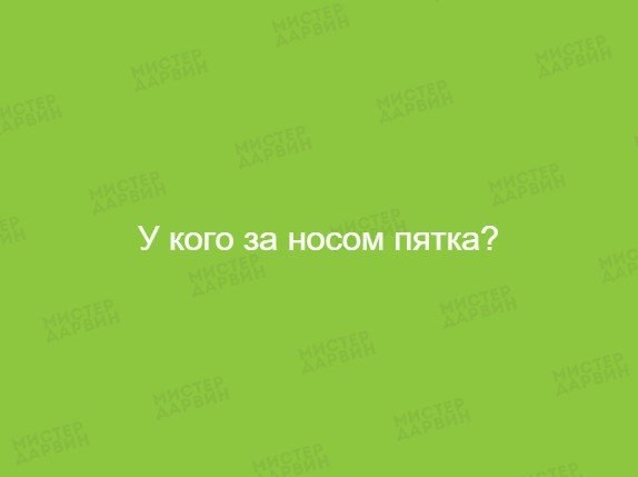 Подборка интересных и веселых картинок