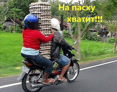 Картинки для поднятия настроения - 4