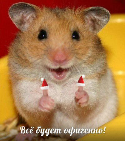 Яповцы, оновогоживайтесь!
