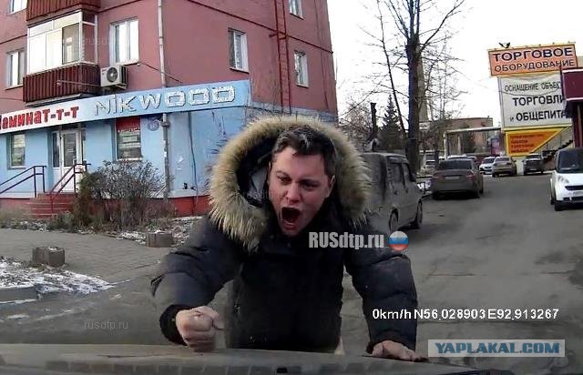 Жительница Самары специально раздавила собаку, вставшую перед её автомобилем