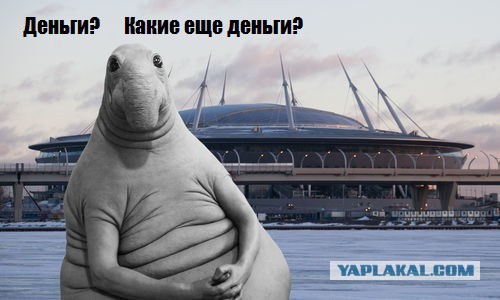 Какое название заслуживает новый стадион «Зенита»?