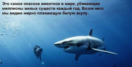 Кто боялся в детстве?