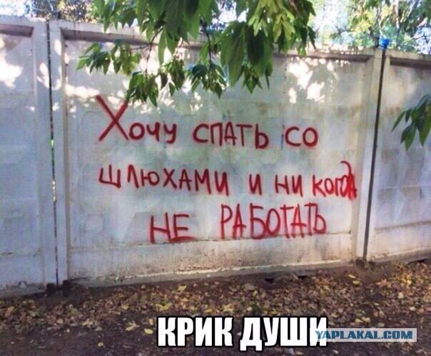 Забавные комментарии, шутки и фразы из этих ваших интернетов