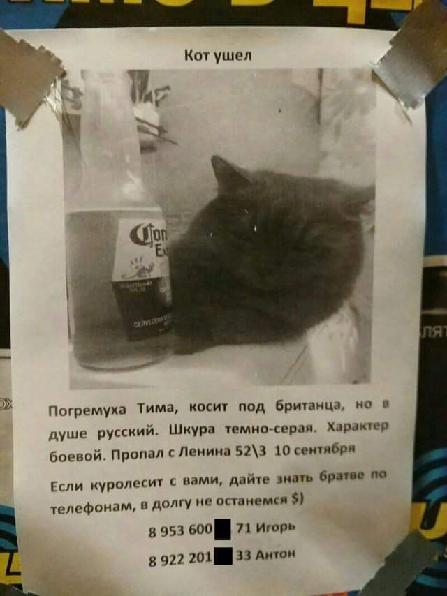 Подборка интересных и веселых картинок