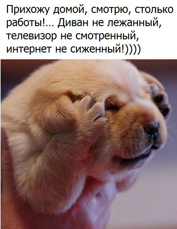 Подборка интересных и веселых картинок