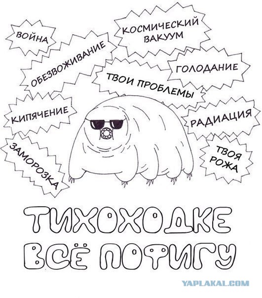 Самое живучее в мире животное