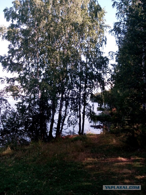 Братья и сестры
