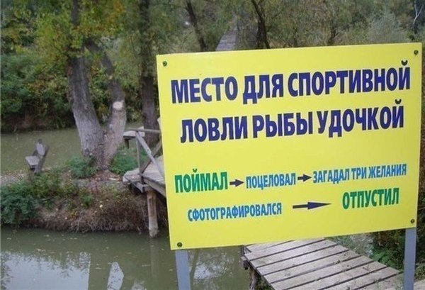 Надписи от тех, кто точно знает, как приковать наше внимание