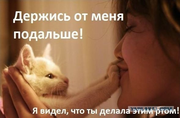 Президент Уганды хочет запретить оральный секс