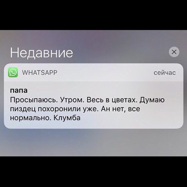 Прикольные комментарии и высказывания из Сети