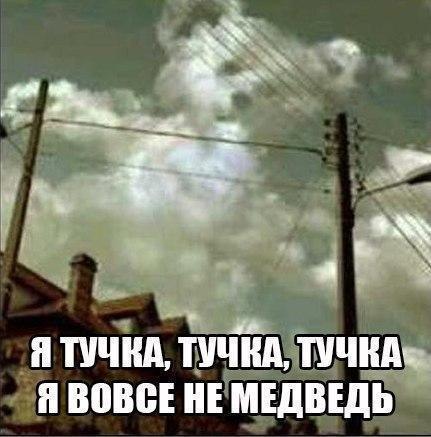 Прикольные картинки абавсём