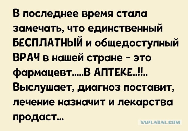 Чернушка-чернучшечка-чернушенция