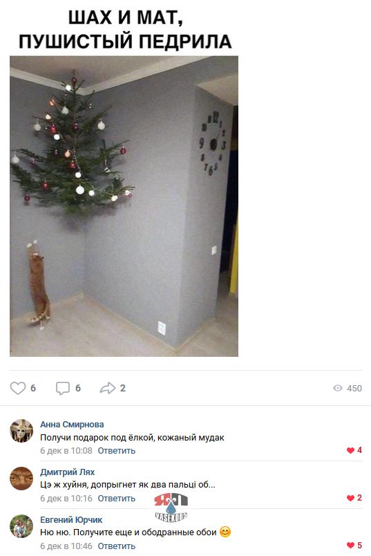 12405726.png