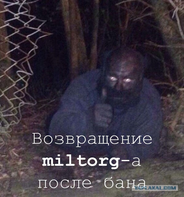 Дров не дали. Как жить бедному крестьянину?
