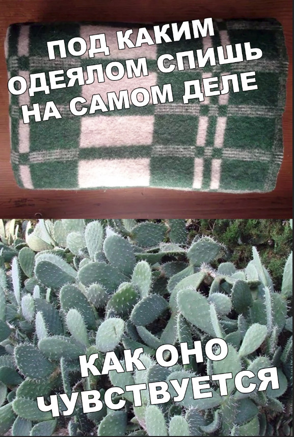 Нестандартный юмор